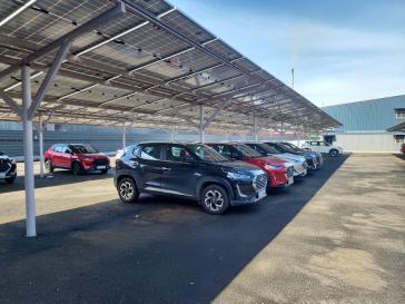 Nissan Motor India Champions Sustainability on World Environment Day